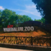 ਤਮਿਲਨਾਡੂ ਦੇ Vandalur zoo ਵਿੱਚ ਬਰਡ ਫਲੂ ਦੀ ਪੁਸ਼ਟੀ ; 2 ਦਿਨਾਂ ਲਈ ਆਮ ਲੋਕਾਂ ਦੇ ਦਾਖਲੇ ‘ਤੇ ਰੋਕ