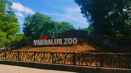 ਤਮਿਲਨਾਡੂ ਦੇ Vandalur zoo ਵਿੱਚ ਬਰਡ ਫਲੂ ਦੀ ਪੁਸ਼ਟੀ ; 2 ਦਿਨਾਂ ਲਈ ਆਮ ਲੋਕਾਂ ਦੇ ਦਾਖਲੇ ‘ਤੇ ਰੋਕ ਤਮਿਲਨਾਡੂ ਦੇ Vandalur zoo ਵਿੱਚ ਬਰਡ ਫਲੂ ਦੀ ਪੁਸ਼ਟੀ ; 2 ਦਿਨਾਂ ਲਈ ਆਮ ਲੋਕਾਂ ਦੇ ਦਾਖਲੇ ‘ਤੇ ਰੋਕ