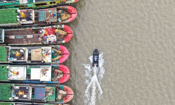 Typhoon Champi : ਤਾਈਵਾਨ ਨੇ 20 ਸ਼ਹਿਰਾਂ ਅਤੇ ਕਾਉਂਟੀਆਂ ਵਿੱਚ ਸਕੂਲ ਤੇ ਦਫ਼ਤਰ ਬੰਦ; ਸੈਂਕੜੇ ਉਡਾਣਾਂ ਰੱਦ Typhoon Champi : ਤਾਈਵਾਨ ਨੇ 20 ਸ਼ਹਿਰਾਂ ਅਤੇ ਕਾਉਂਟੀਆਂ ਵਿੱਚ ਸਕੂਲ ਤੇ ਦਫ਼ਤਰ ਬੰਦ; ਸੈਂਕੜੇ ਉਡਾਣਾਂ ਰੱਦ