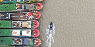 Typhoon Champi : ਤਾਈਵਾਨ ਨੇ 20 ਸ਼ਹਿਰਾਂ ਅਤੇ ਕਾਉਂਟੀਆਂ ਵਿੱਚ ਸਕੂਲ ਤੇ ਦਫ਼ਤਰ ਬੰਦ; ਸੈਂਕੜੇ ਉਡਾਣਾਂ ਰੱਦ Typhoon Champi : ਤਾਈਵਾਨ ਨੇ 20 ਸ਼ਹਿਰਾਂ ਅਤੇ ਕਾਉਂਟੀਆਂ ਵਿੱਚ ਸਕੂਲ ਤੇ ਦਫ਼ਤਰ ਬੰਦ; ਸੈਂਕੜੇ ਉਡਾਣਾਂ ਰੱਦ