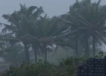 National: ਚੱਕਰਵਾਤੀ ਤੂਫ਼ਾਨ ‘ਅਰਨਬ’ ਆਂਧਰਾ ਪ੍ਰਦੇਸ਼ ਦੇ ਤੱਟ ਨਾਲ ਟਕਰਾਇਆ, 135 ਕਿਲੋਮੀਟਰ ਦੀ ਰਫ਼ਤਾਰ ਨਾਲ ਚੱਲ ਰਹੀਆਂ ਹਵਾਵਾਂ National: ਚੱਕਰਵਾਤੀ ਤੂਫ਼ਾਨ ‘ਅਰਨਬ’ ਆਂਧਰਾ ਪ੍ਰਦੇਸ਼ ਦੇ ਤੱਟ ਨਾਲ ਟਕਰਾਇਆ, 135 ਕਿਲੋਮੀਟਰ ਦੀ ਰਫ਼ਤਾਰ ਨਾਲ ਚੱਲ ਰਹੀਆਂ ਹਵਾਵਾਂ